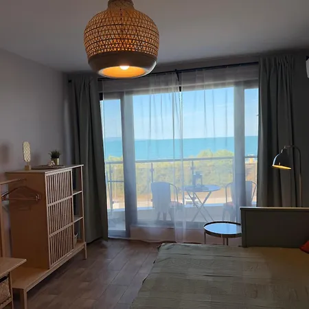 5 Steps To The * Pomorie